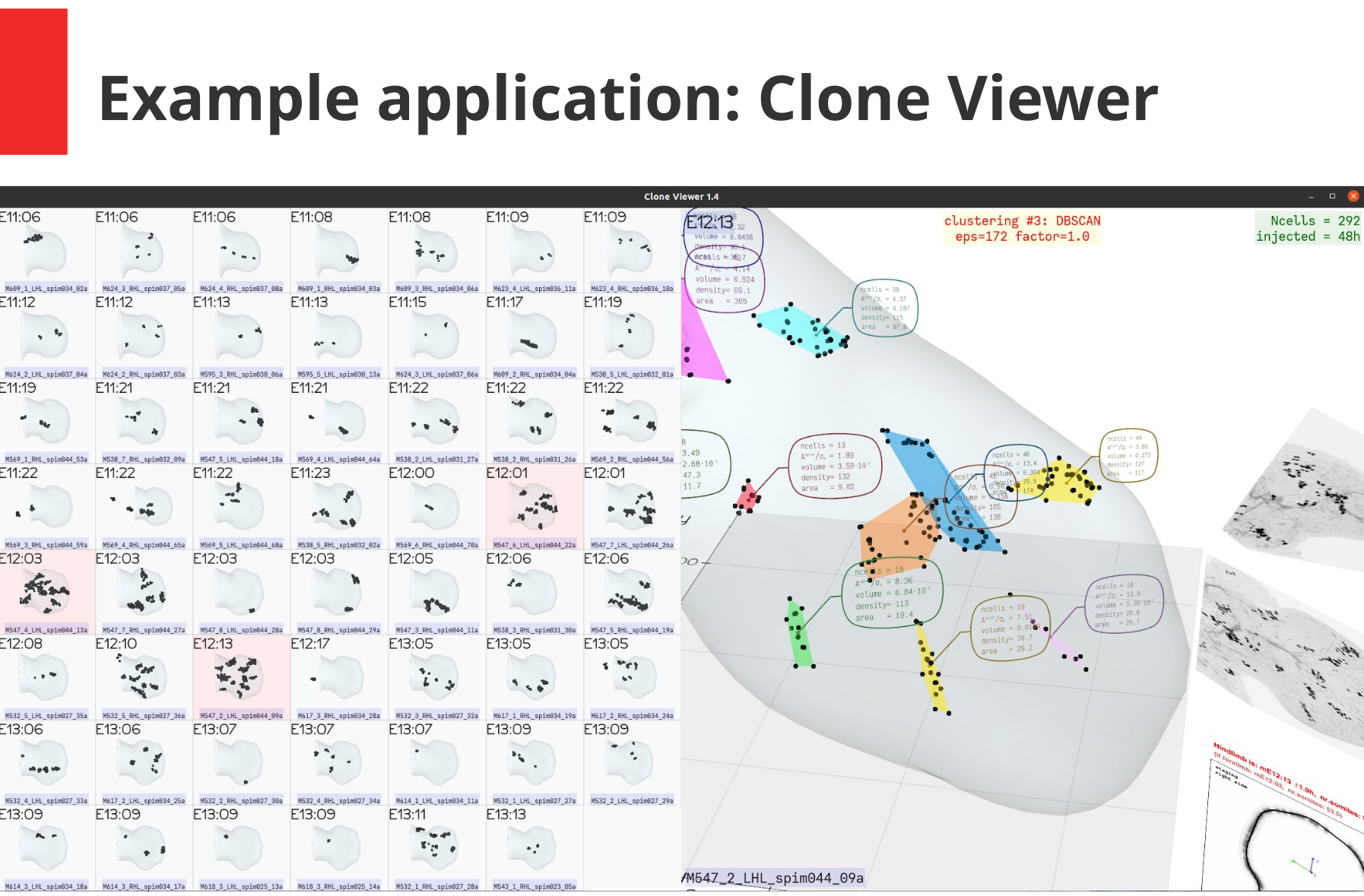 clone viewer slide14